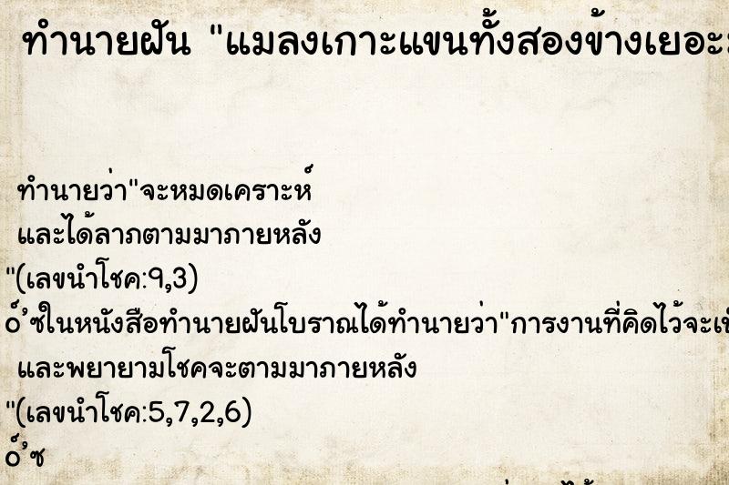 ทำนายฝันทำนายฝันแมลงเกาะแขนทั้งสองข้างเยอะมากคืนอาทิตย์